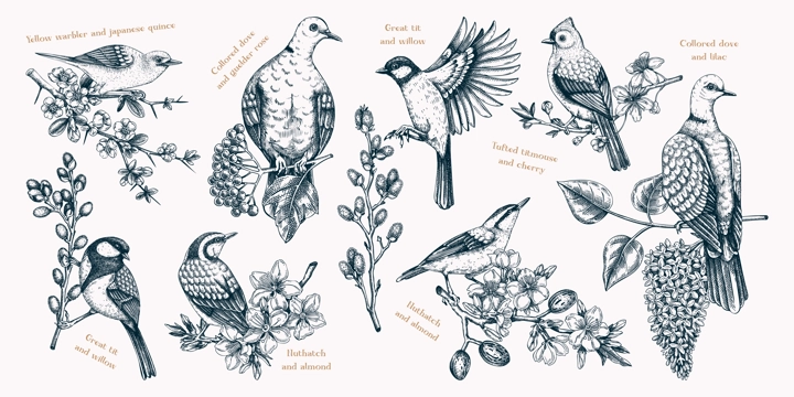 Spring garden background. Vintage seamless patter with birds, flowers, leaves and blooming tree branches. Hand drawn almond, willow, rowan, willow, cherry blossom floral sketches for prints or textile